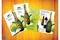 Những mẫu Brochure sáng tạo